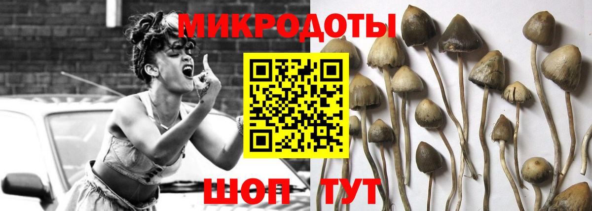 Грозный  Галлюциногенные грибы ЛСД  как найти закладки  Вход с VPN 
